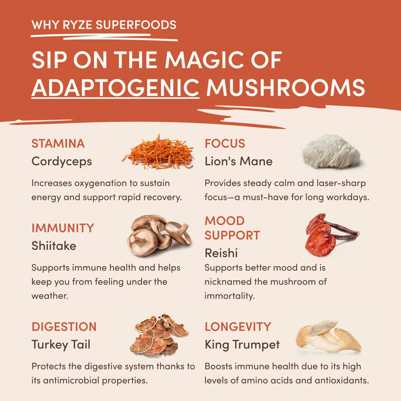 Mushroom Coffee